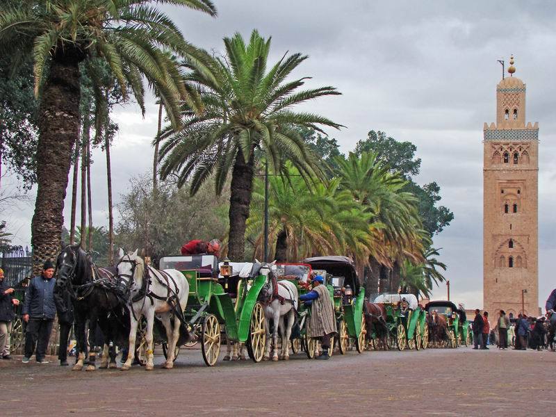 DMC Morocco, 从马拉喀什出发的一日游和观光游