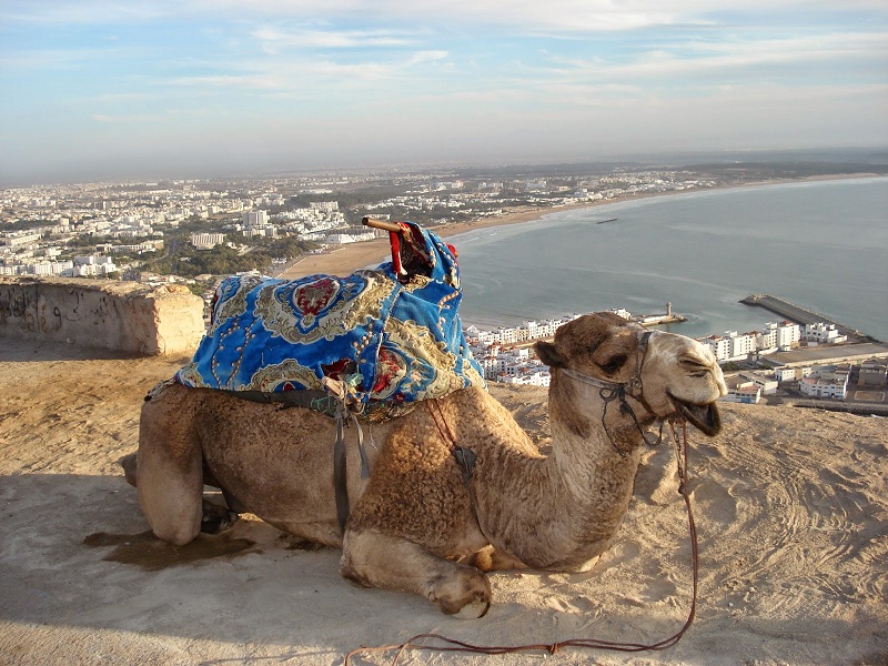 DMC Morocco, 从阿加迪尔出发的一日游和观光游